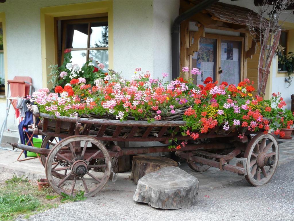 Agritur Ciasa Do Pare Villa Soraga Kültér fotó